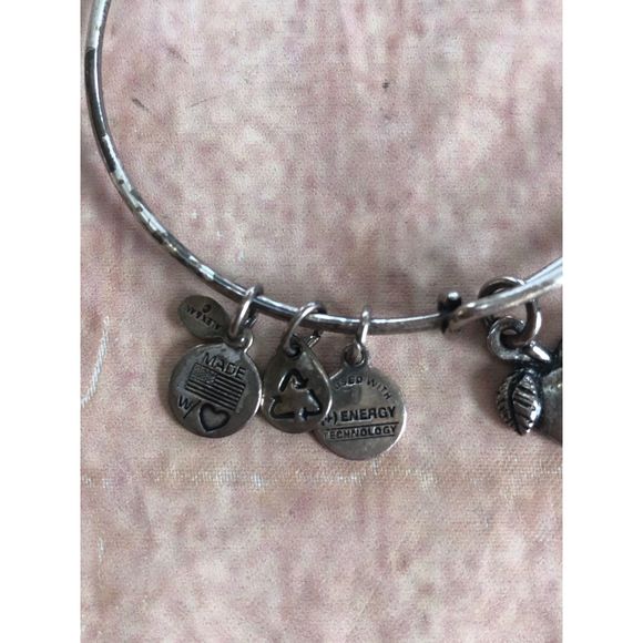 Alex & Ani Apple of Abundance bracelet - Picture 2 of 6